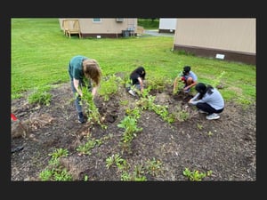 2023 green school app final (27)